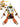 Genshin Impact Natlan Kachina Cosplay Costume