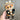 Labubu Kawaii Dress-Up Outfit Set 17cm   - Applicable to Ver. 1 & Ver. 2& Ver. 3 (Clothes Only)